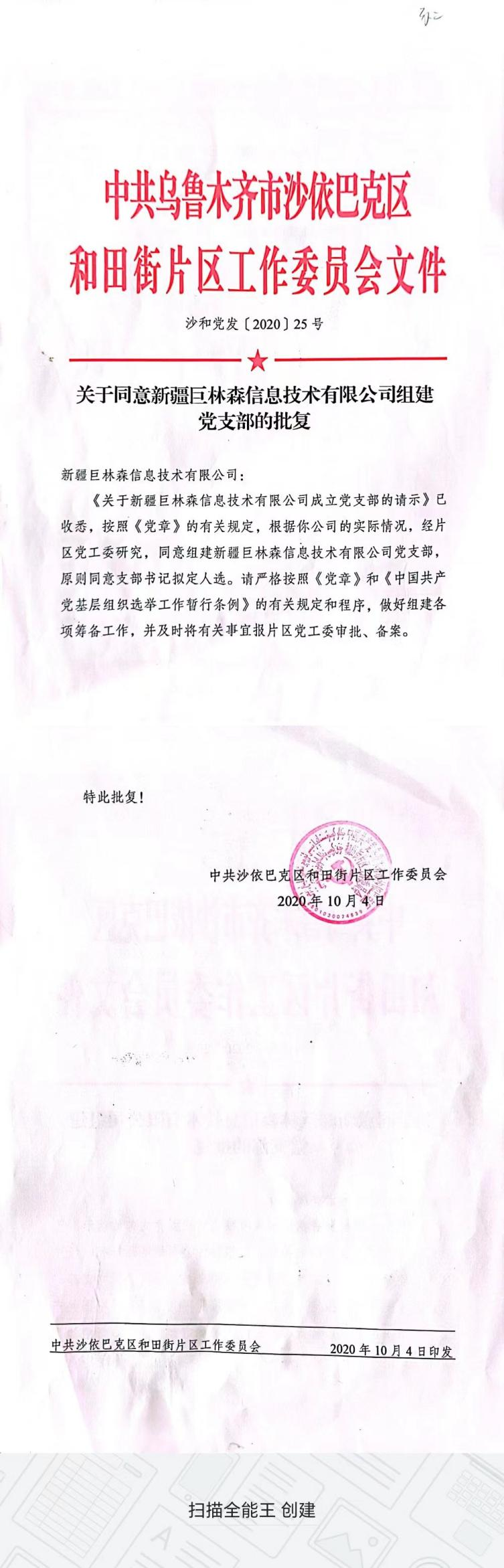 关于同意新疆巨林森信息技术有限公司组建党支部的批复